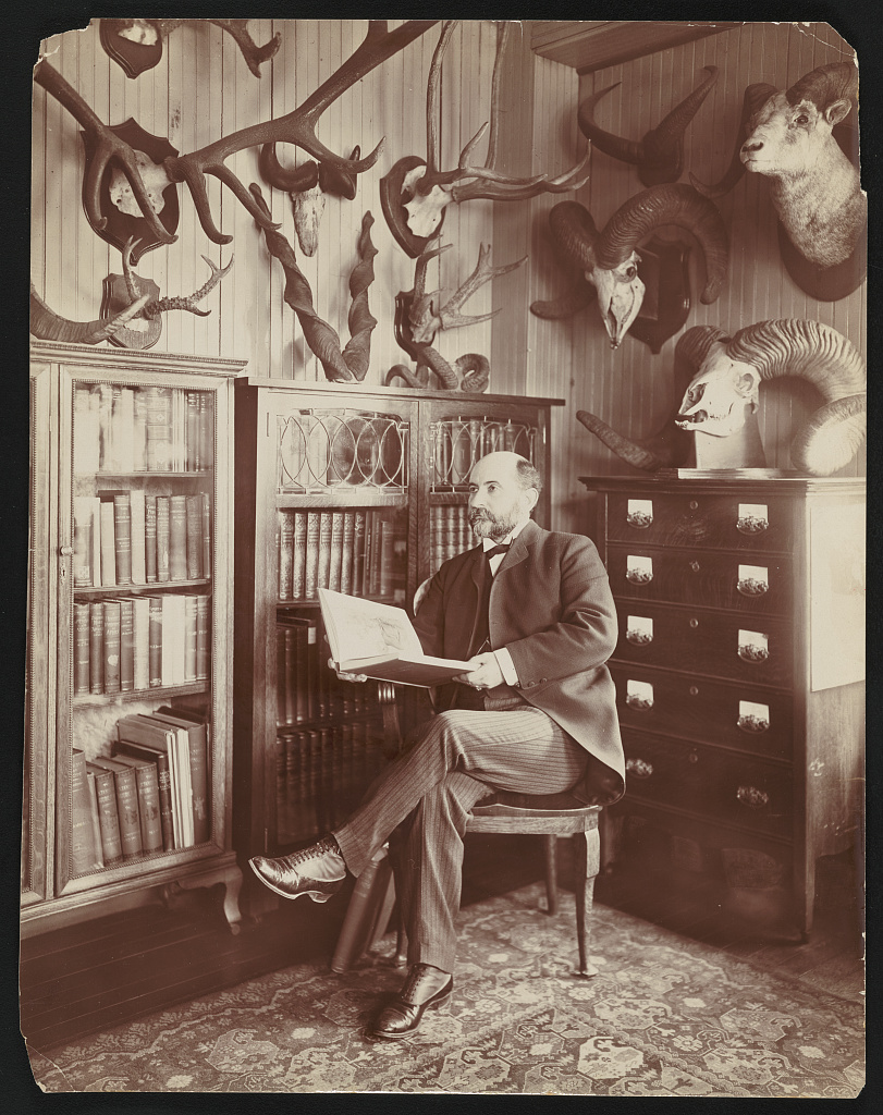 An old black and white photo of William Hornady sitting on a chair in an office with antlers on the wall.