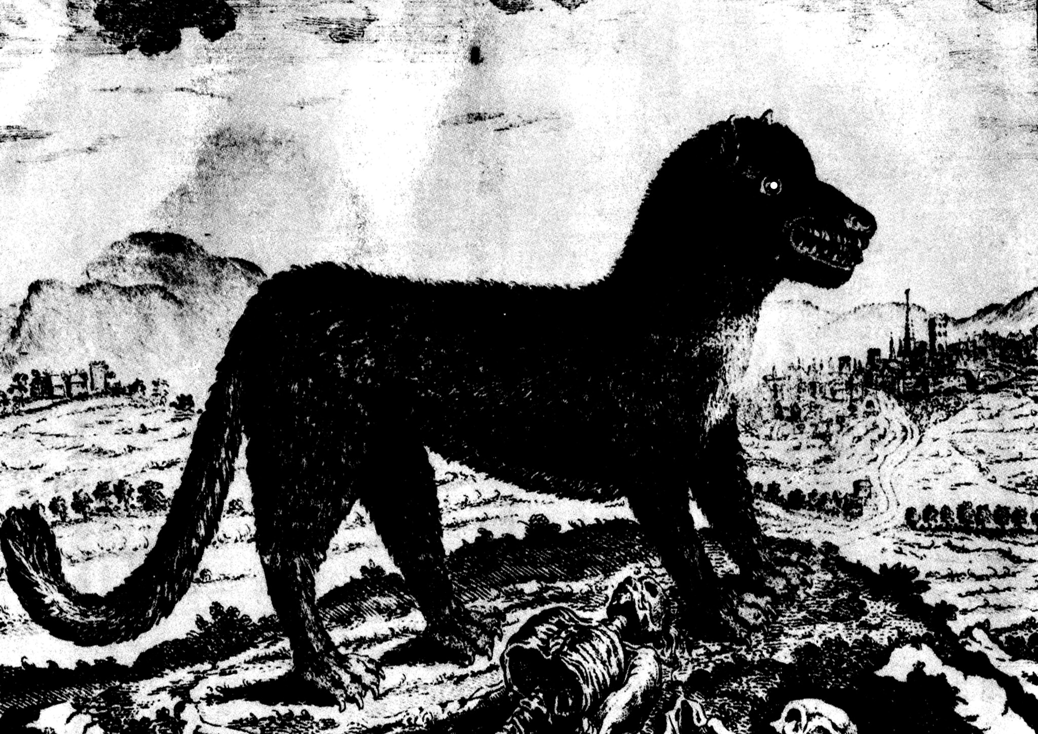 A black and white depiction of the Beast of Gévaudan.
