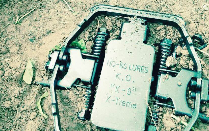 Best Coyote Traps of 2024 Outdoor Life