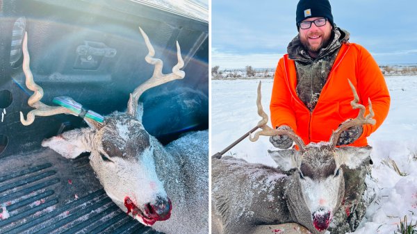 Montana Hunter Tags Unusual ‘Corkscrew’ Buck
