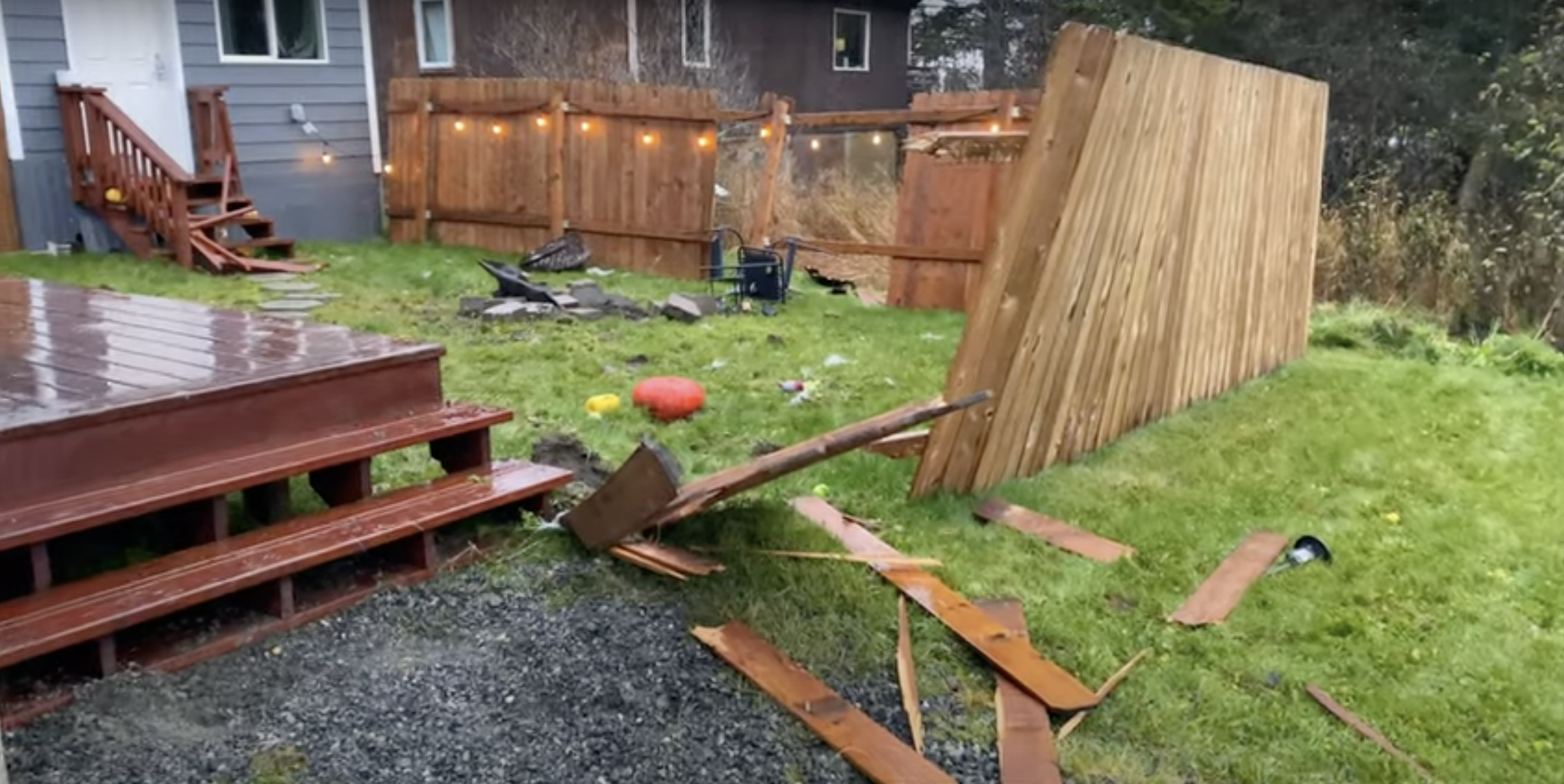 front yard moose brawl video 2