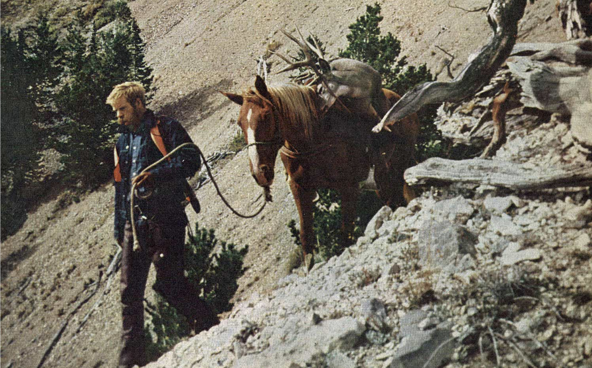 hunter leads horse, carrying dead mule deer, down a steep sidehill
