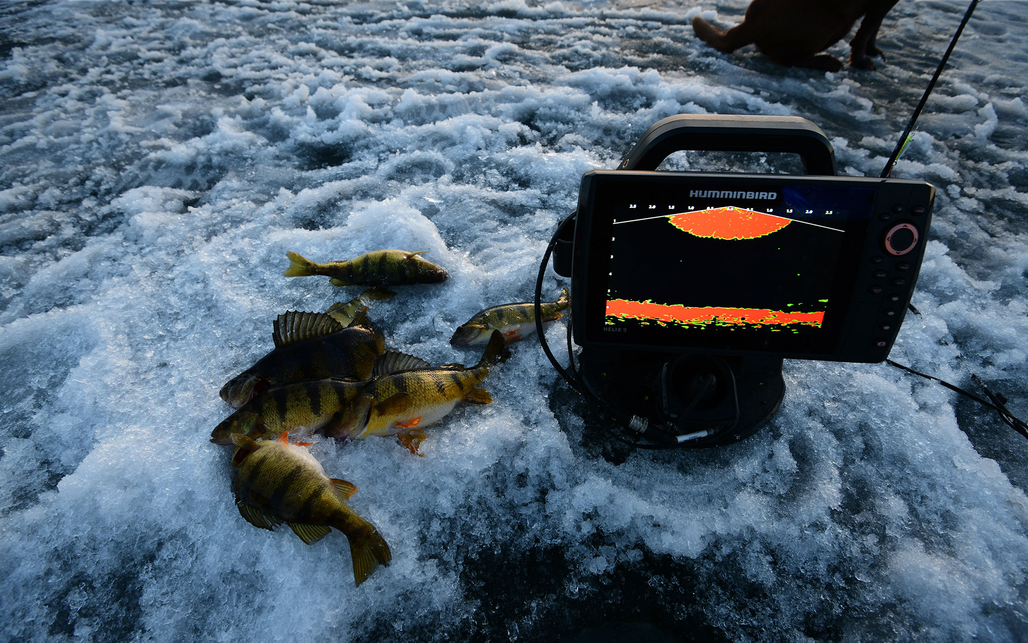 The Best Forward-Facing Sonar for Ice Fishing of 2024