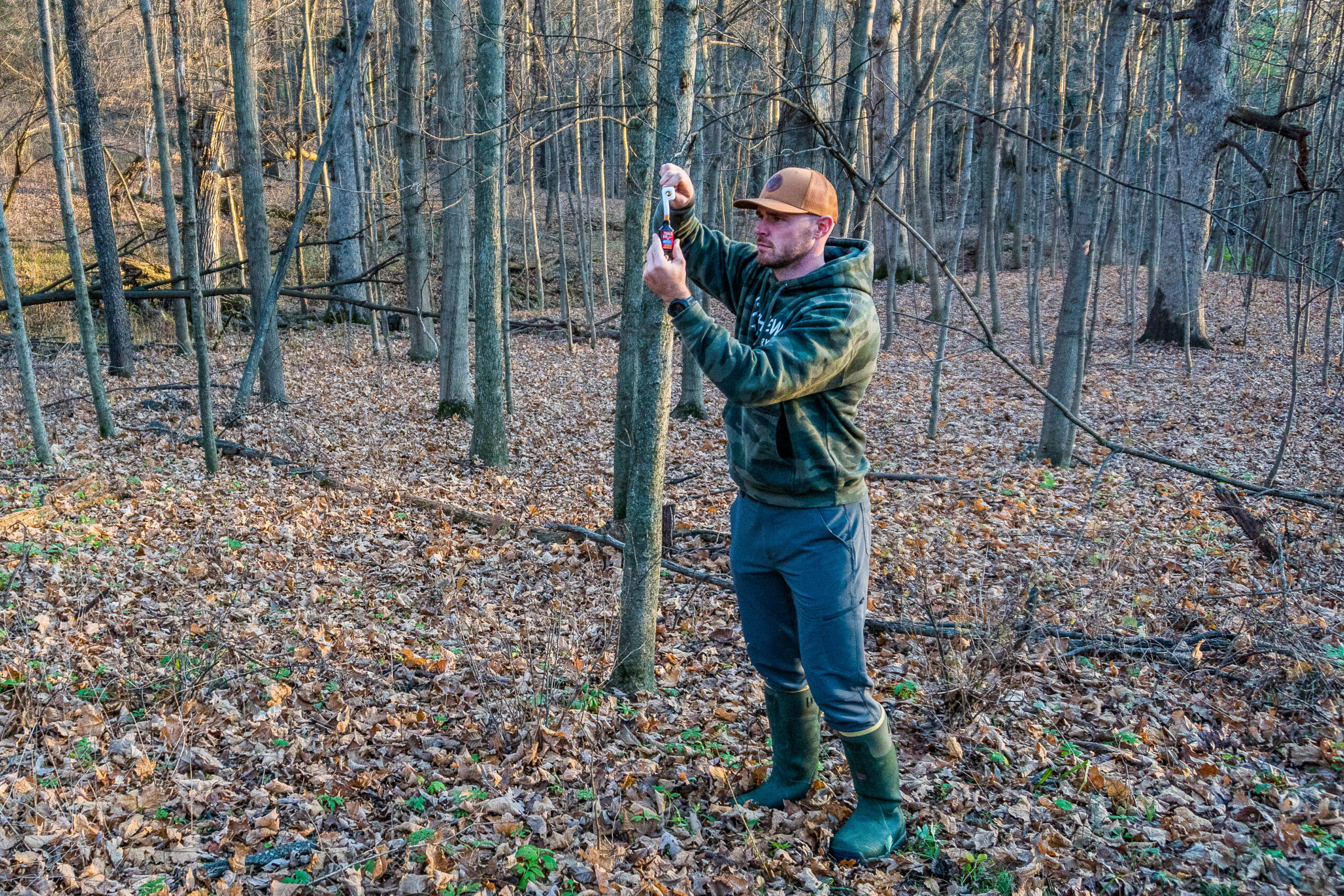 The Best Deer Attractants of 2023 Outdoor Life