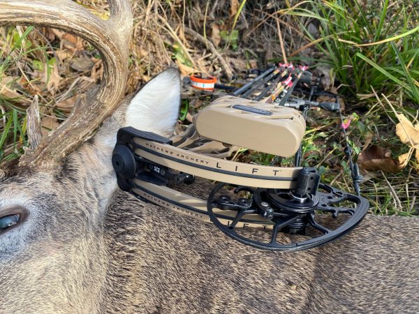 Mathews Lift Review: Is it the Mathews You've Been Waiting for?