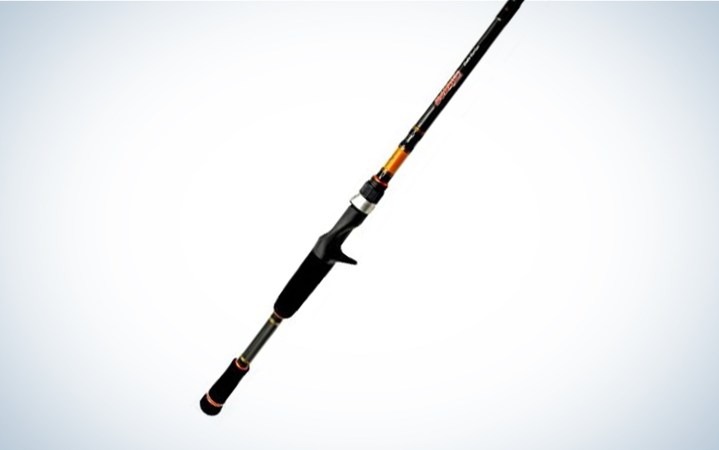 Types of Fishing Rods: A Primer for Beginners 