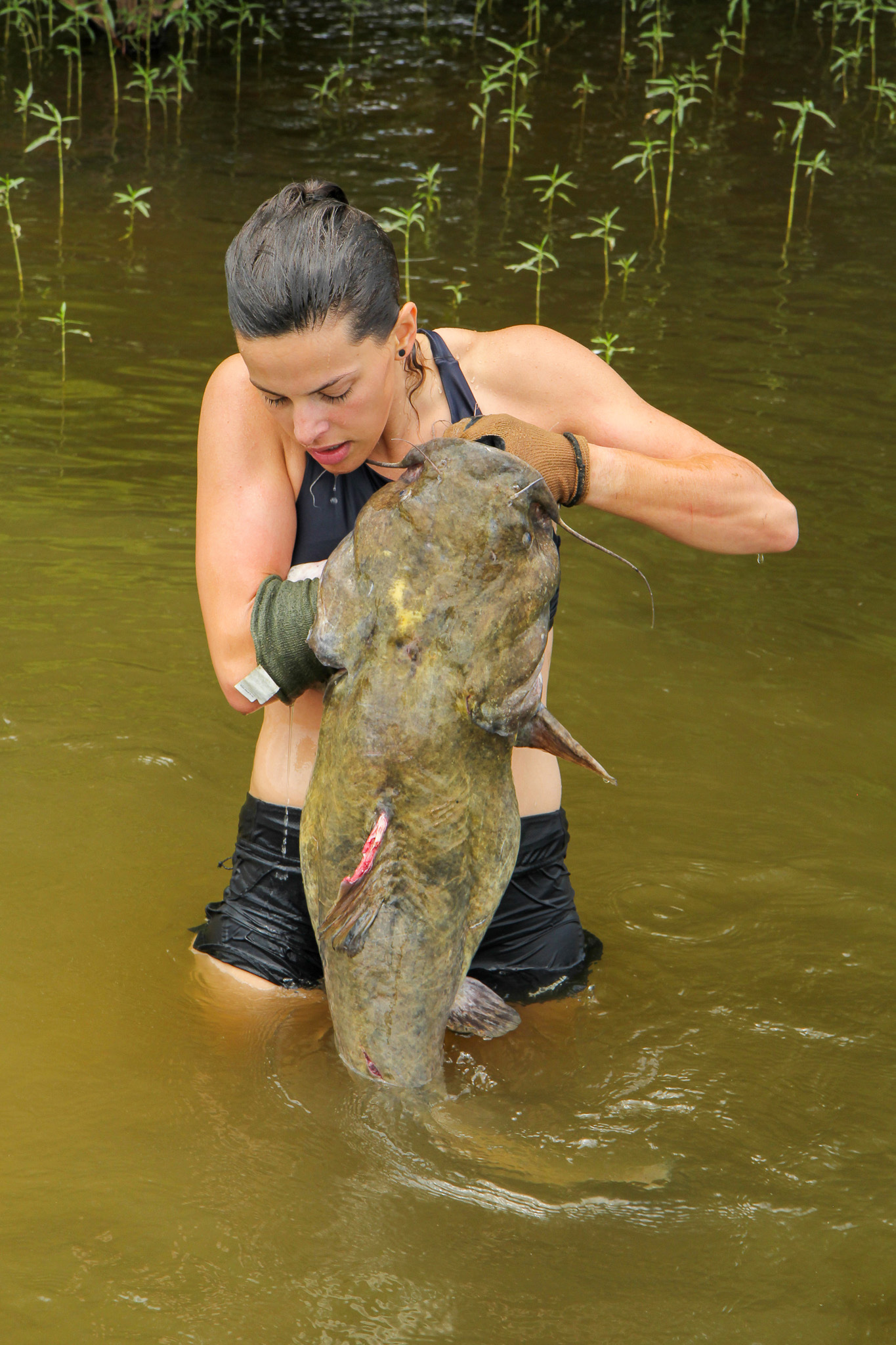 Natalie Krebs holds up flathead catfish she noodled in Kentucky.