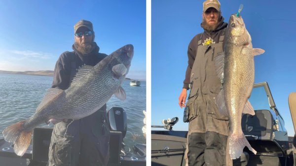 South Dakota Walleye Record Broken for the Second Time in 3 Weeks