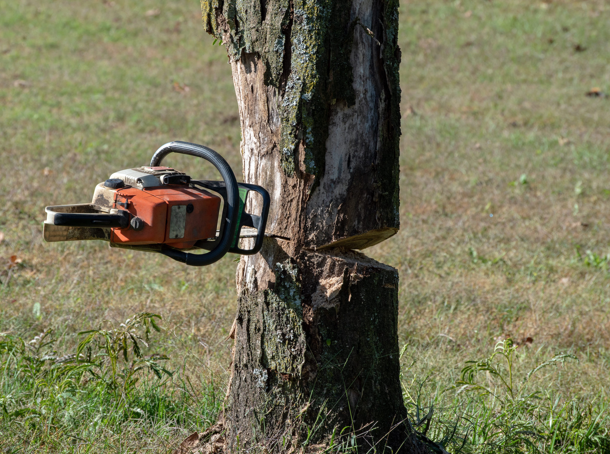 Steal my stand? I got your chainsaw. The Outdoor Community