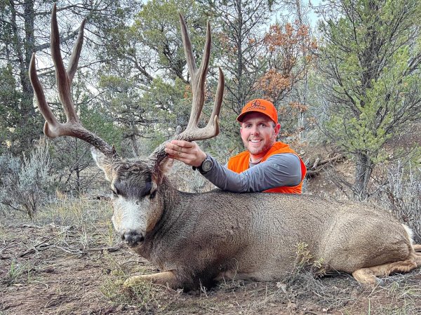 Mule Deer Hunting Tips