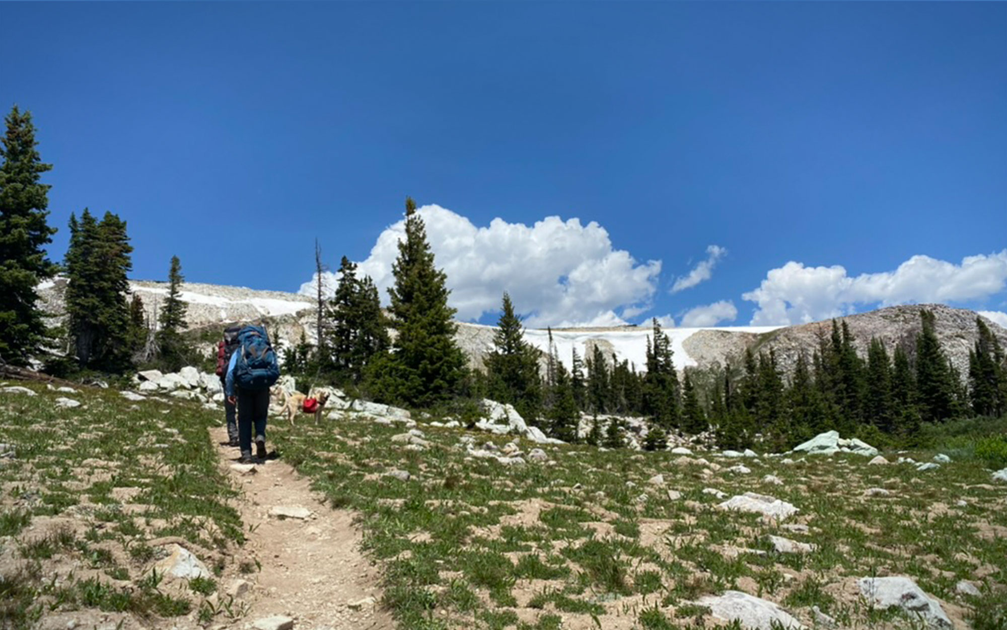 People hiking in Wyoming.