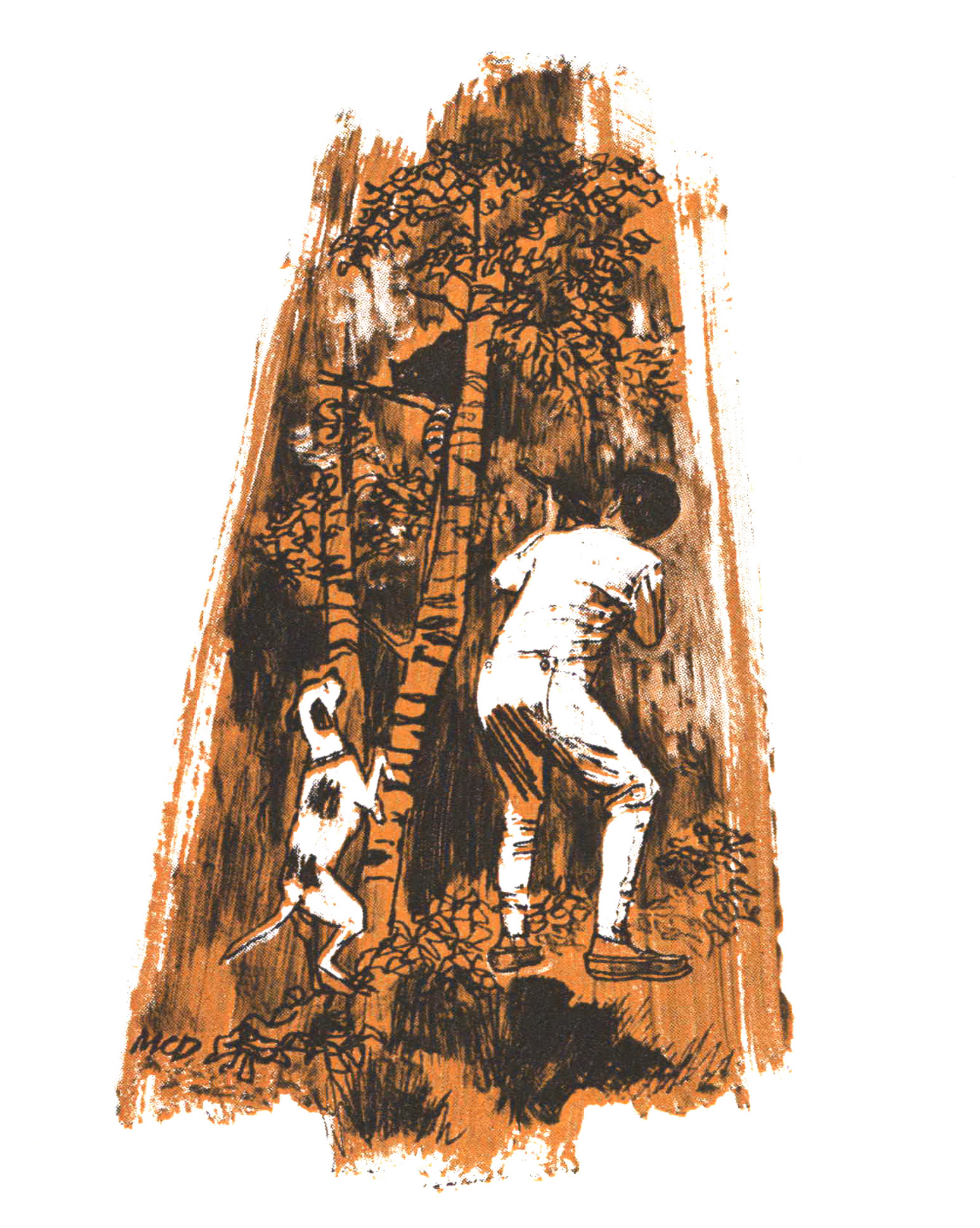 An illustration of a boy in white pajamas aiming at a raccoon in a tree.