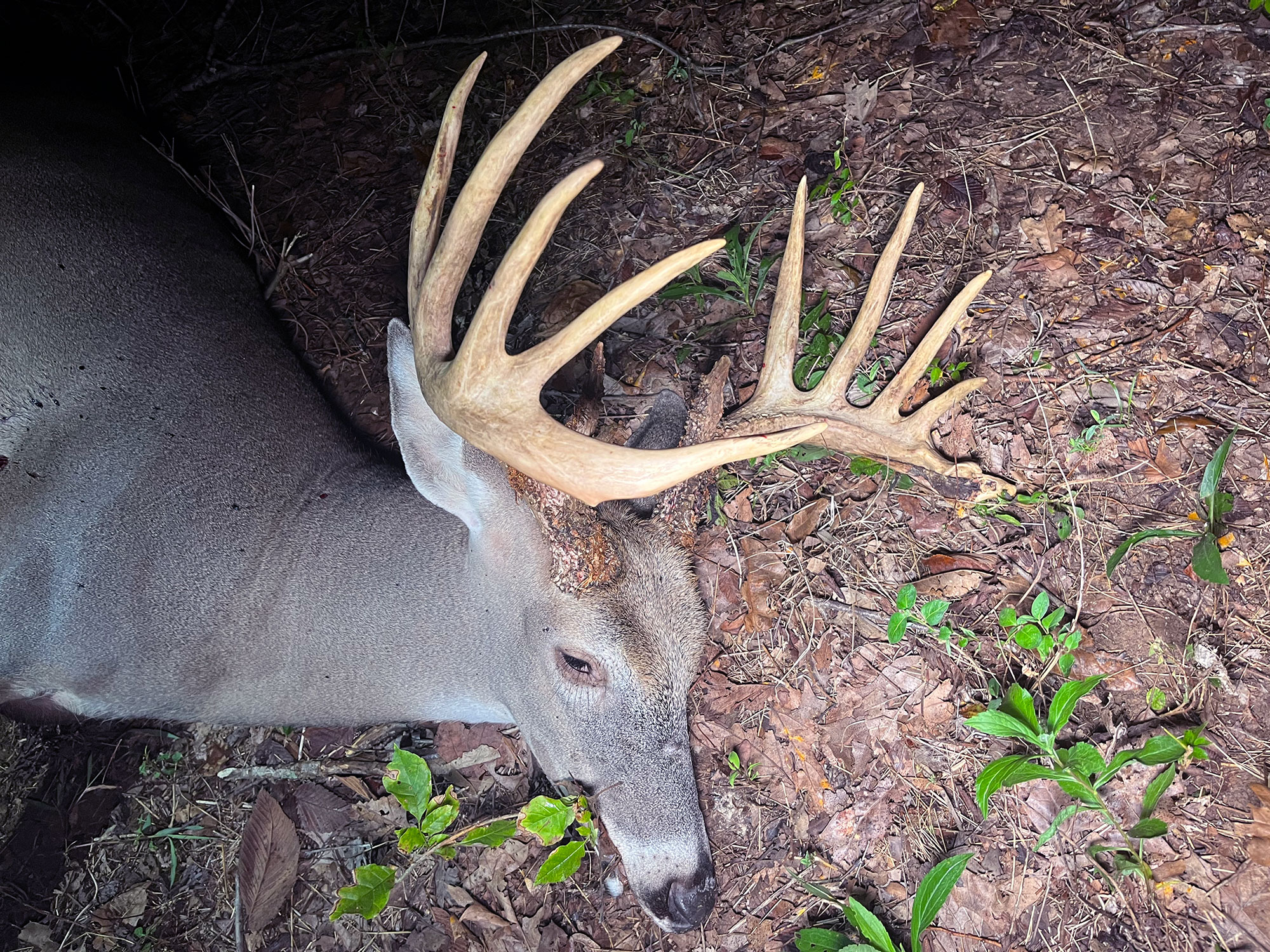 How to Hunt Big Bucks Over Bait Outdoor Life
