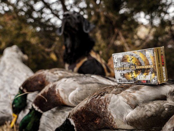 The Best Duck Loads, Range Tested and Reviewed