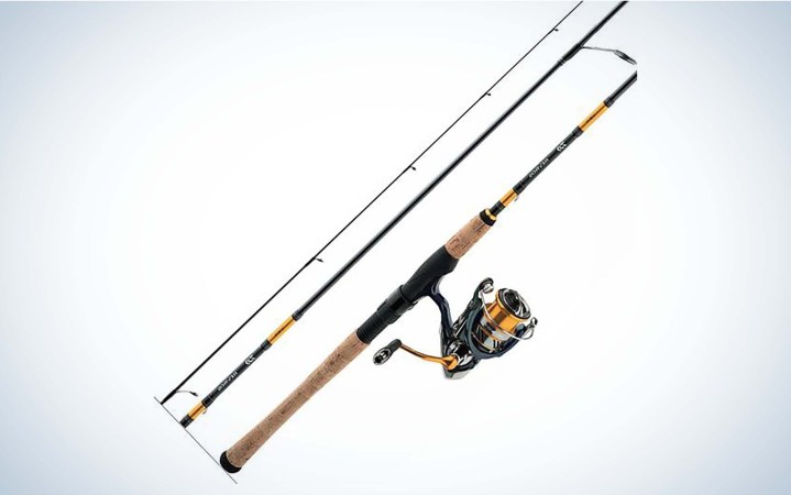 Spinning Rod + Reel Combo ✴️ TOP PRICES of Spinning Rods