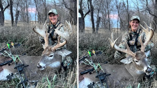 Bowhunter Tags Double Palmated Buck After Passing It Two Years in a Row