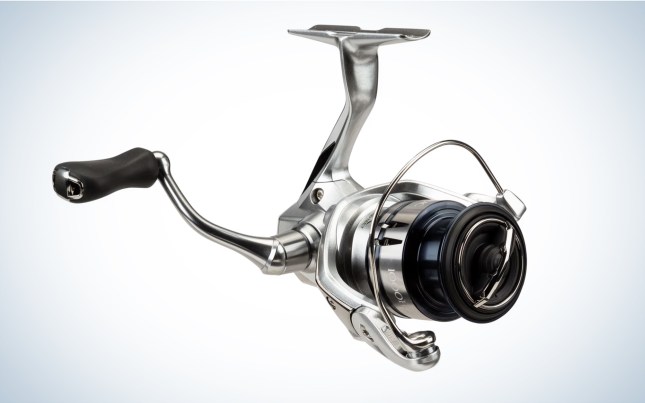 We tested the Shimano Stradic FL (1000 size).