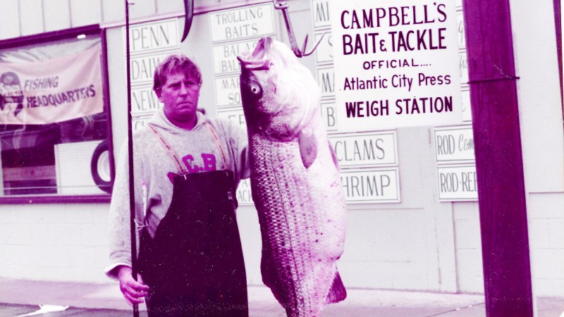 Are Record Fish Stories as Captivating as They Used to Be?