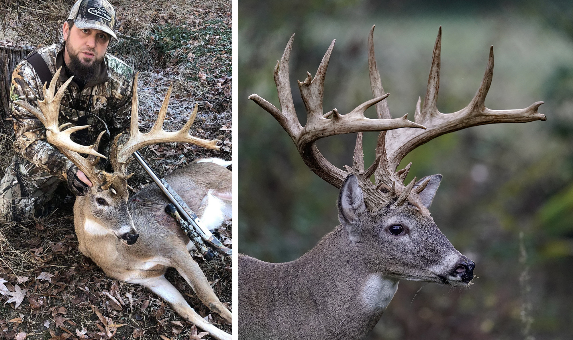 The Hollywood Cemetery buck compared to the James Walters buck.