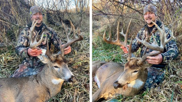 Bowhunter Saves Up to Buy 5 Acres, Arrows Elusive 17-Point Buck