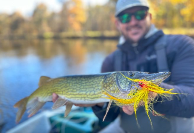 How to Catch Pickerel in Winter