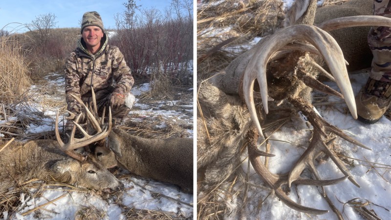 Bowhunter Shoots Locked Up Buck That Was Nearly Dead on Its Feet