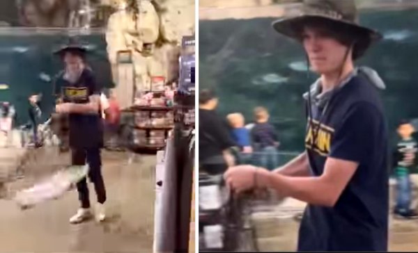 Watch: Net-Wielding Thief Steals Live Tarpon from Indoor Pond at Bass Pro Shops