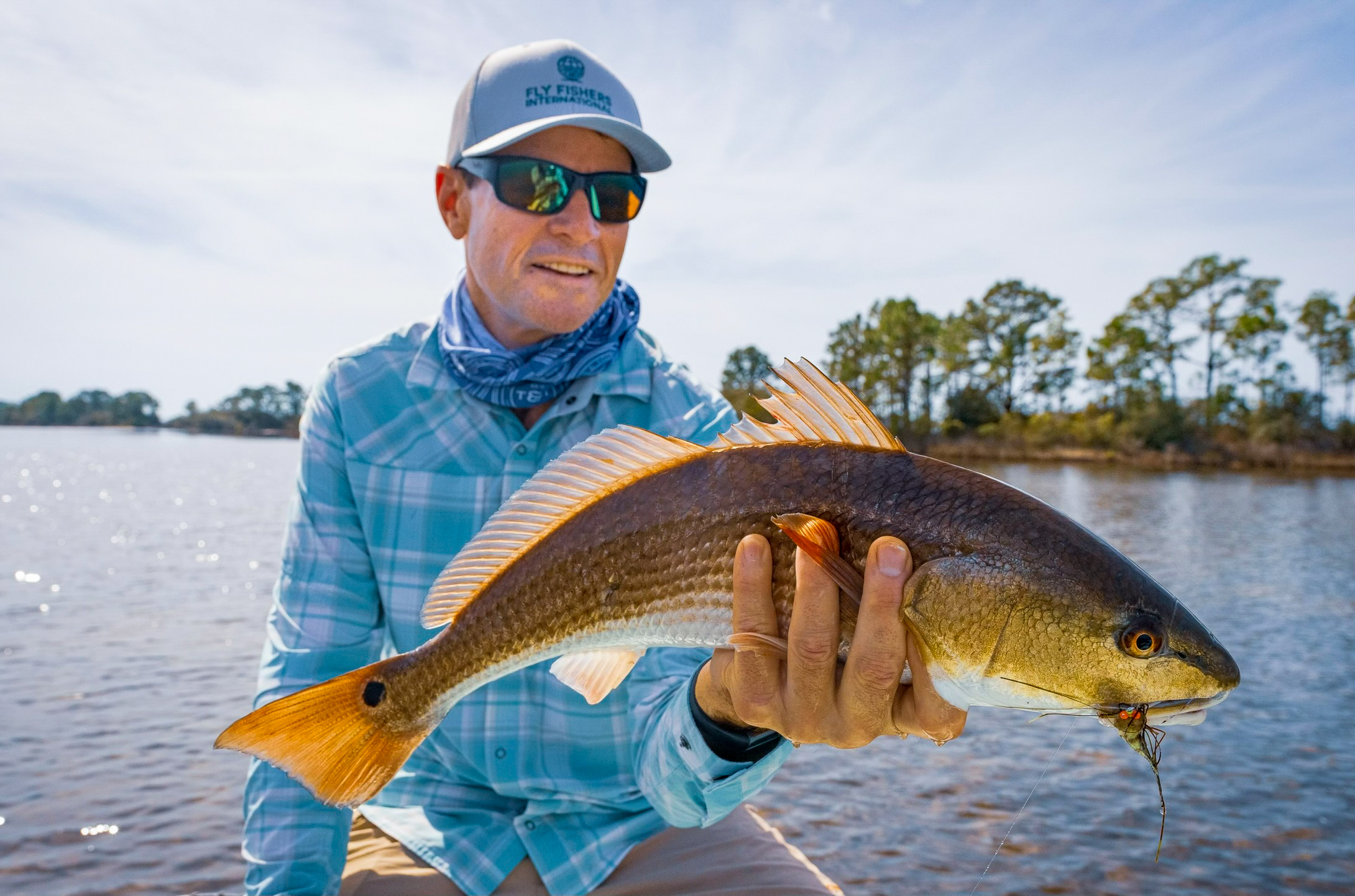 A fly angler in a blue shirt and blue hat holds up a small redfish caught on the fly.