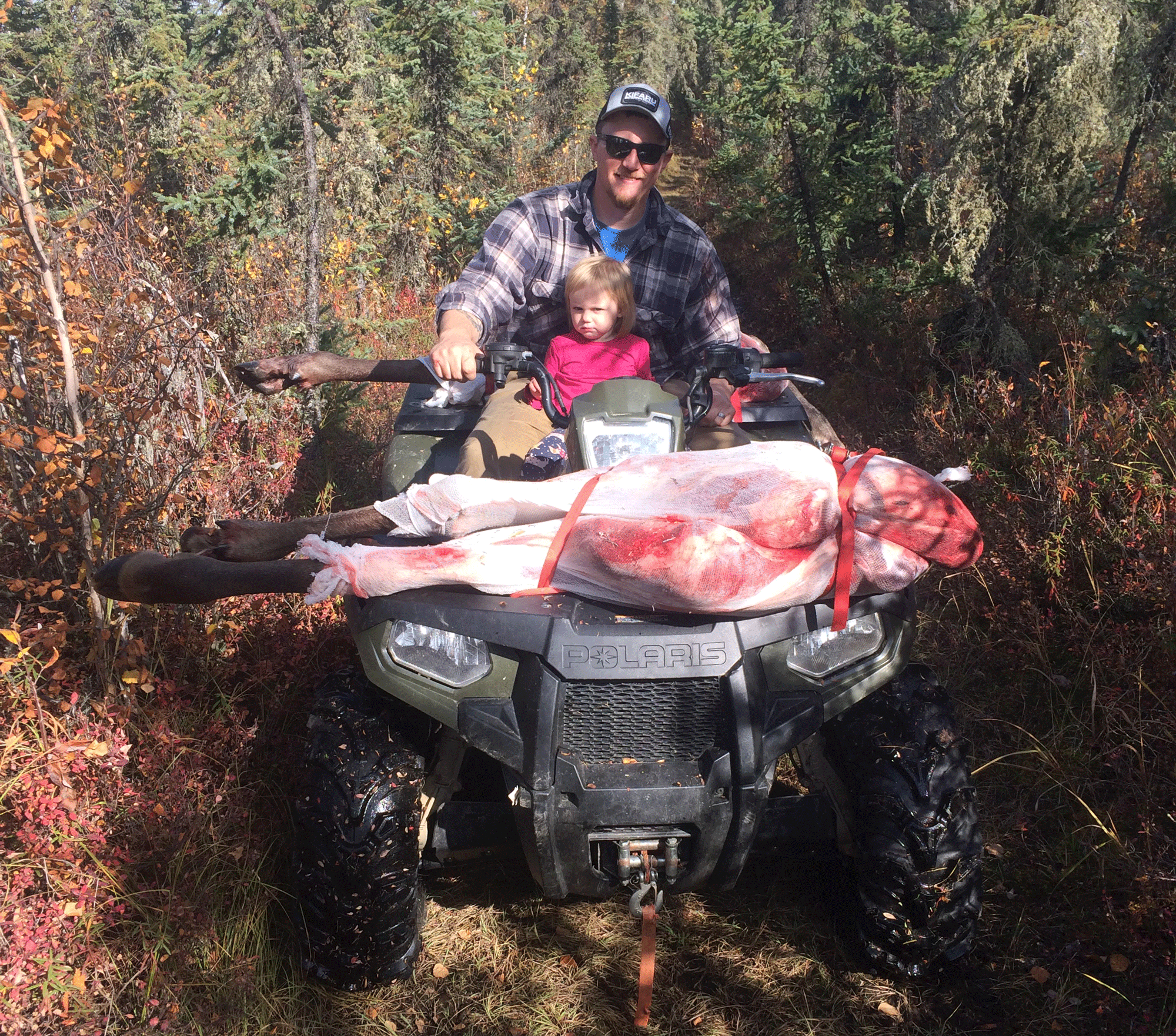 Freel hauls moose meat out with Polaris four wheeler