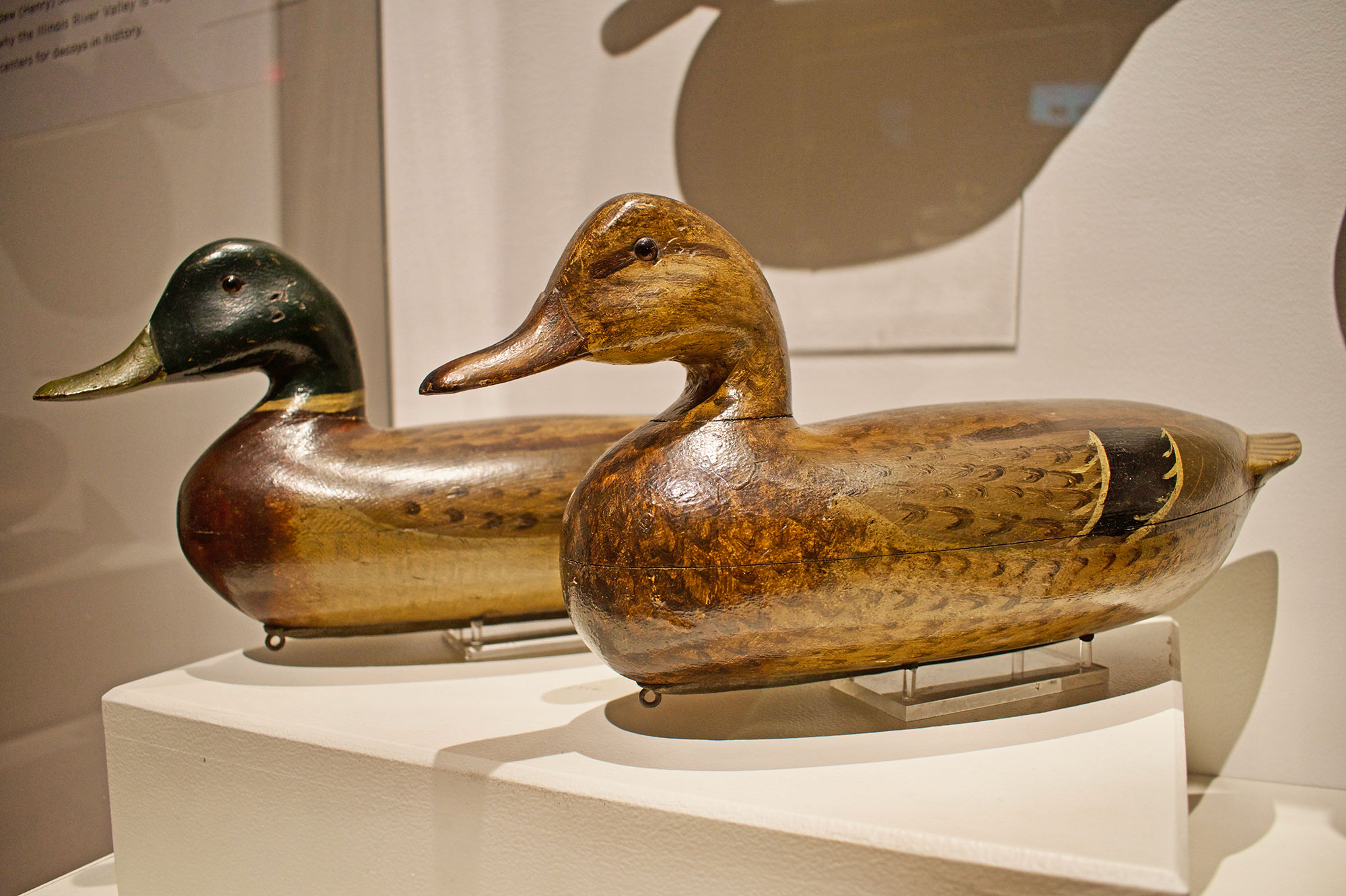 Hand carved decoys