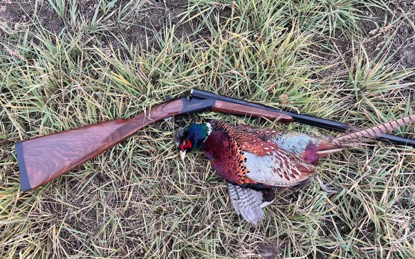 Weatherby Orion SxS Review
