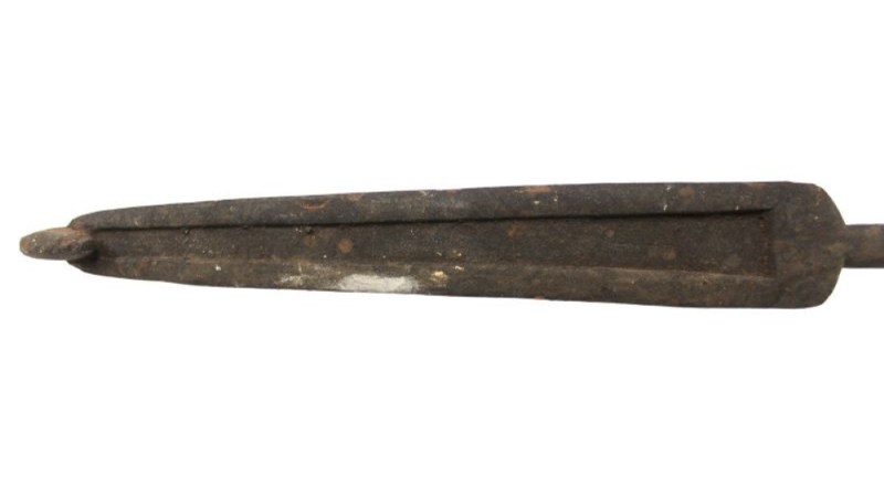 A 1,900-year-old atlatl was discovered in a cave in Mexico.