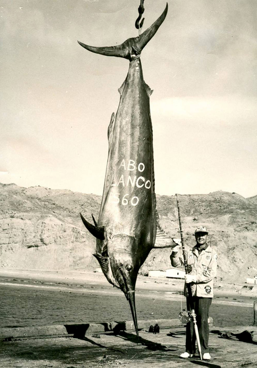 A saltwater angler stands next to the world-record black marlin.