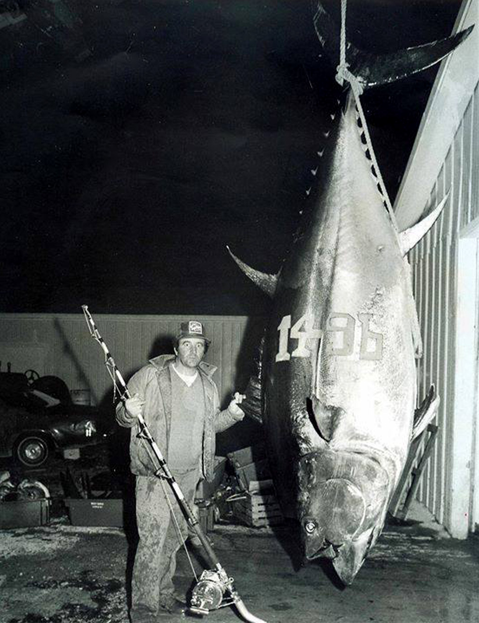 An angler stands next to the world-record bluefin tuna.