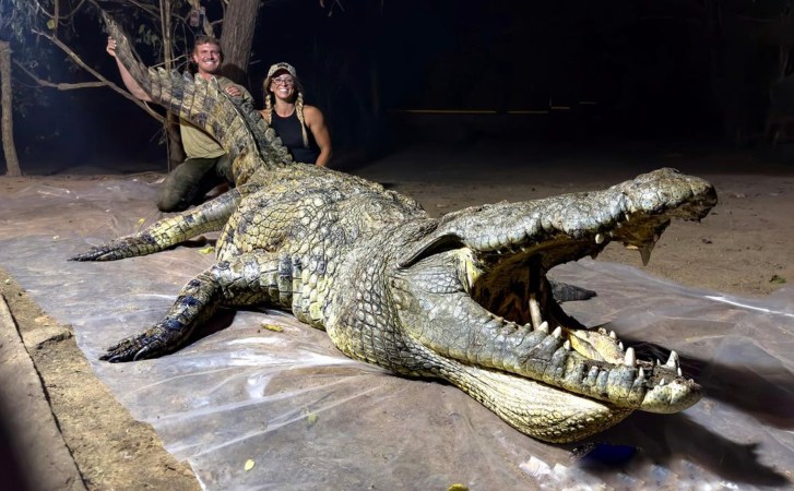 Josh Bowmar Claims He Killed a World-Record Crocodile, Sparking Controversy