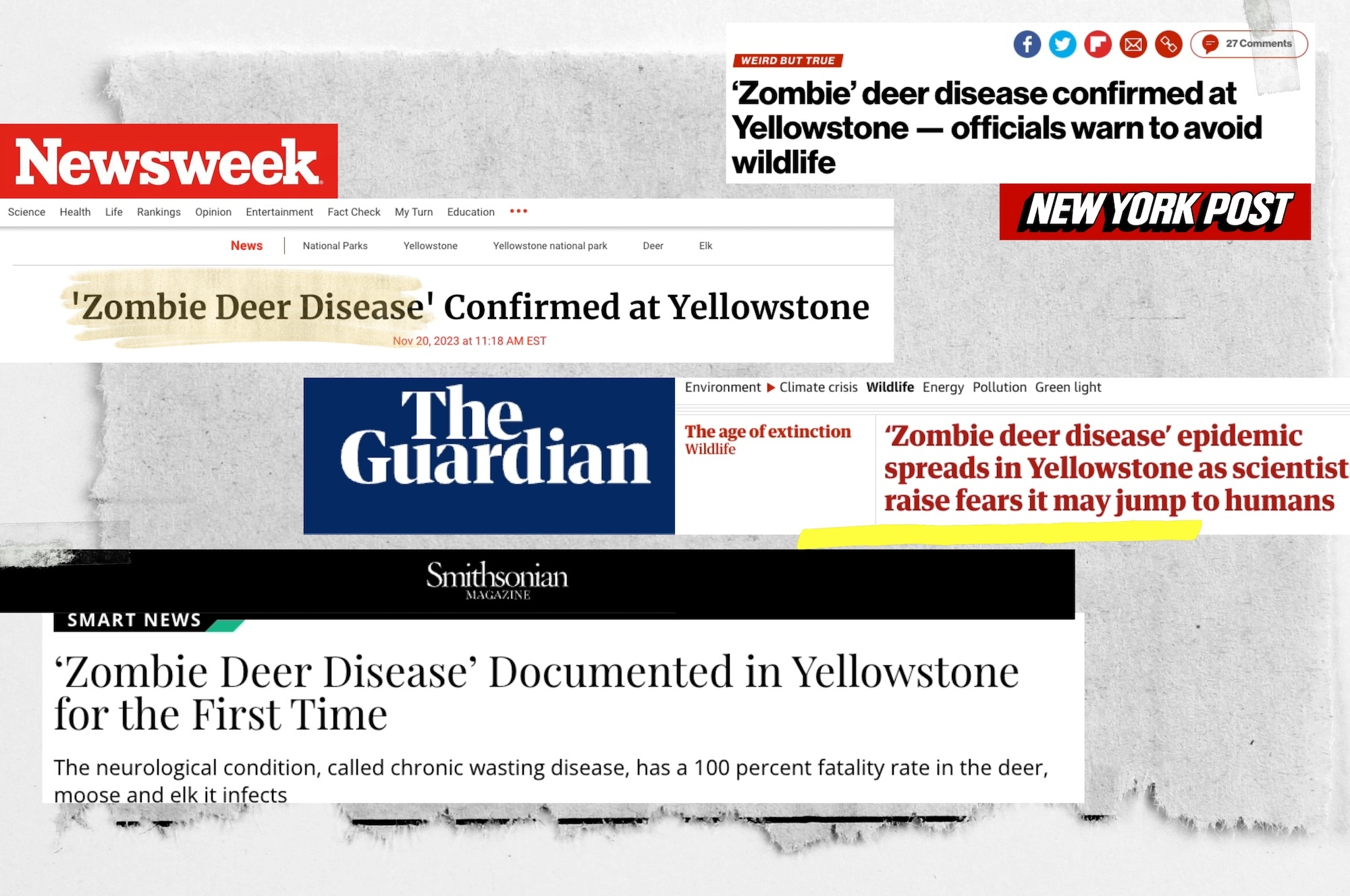 headlines about zombie deer disease