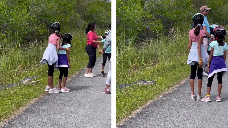 Watch: Everglades Tourists Force Their Kids to Pose with Alligator