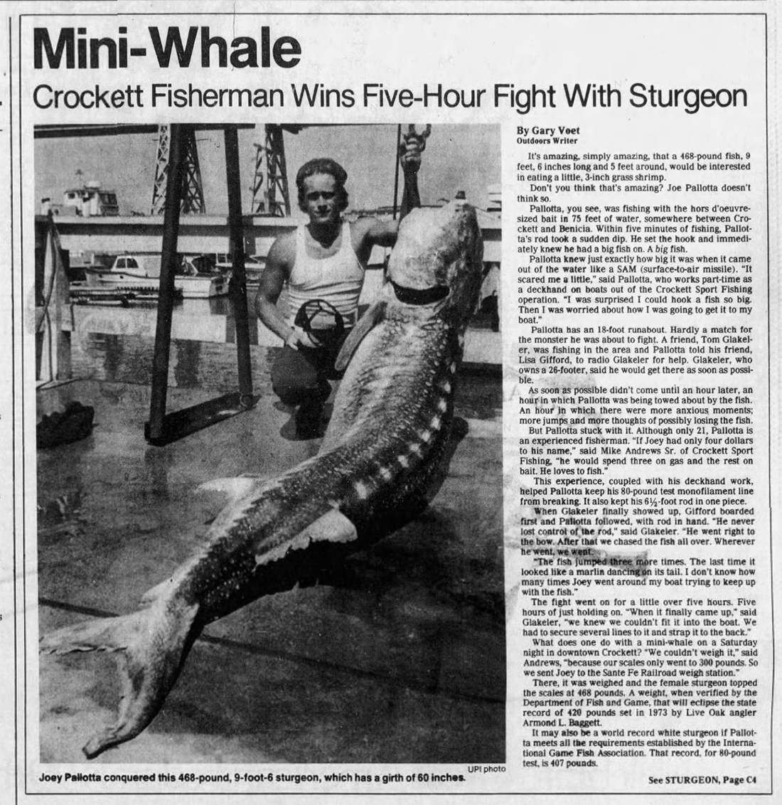 A California angler kneels next to the world-record white sturgeon.