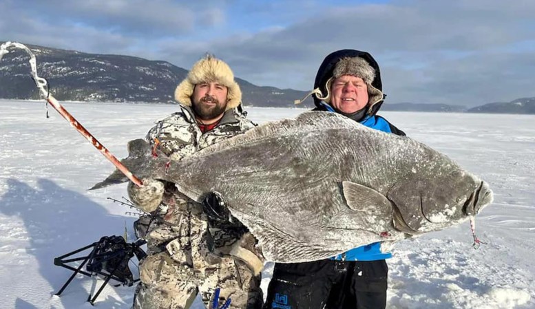 Quebec Anglers Catch Giant Atlantic Halibut Through the Ice