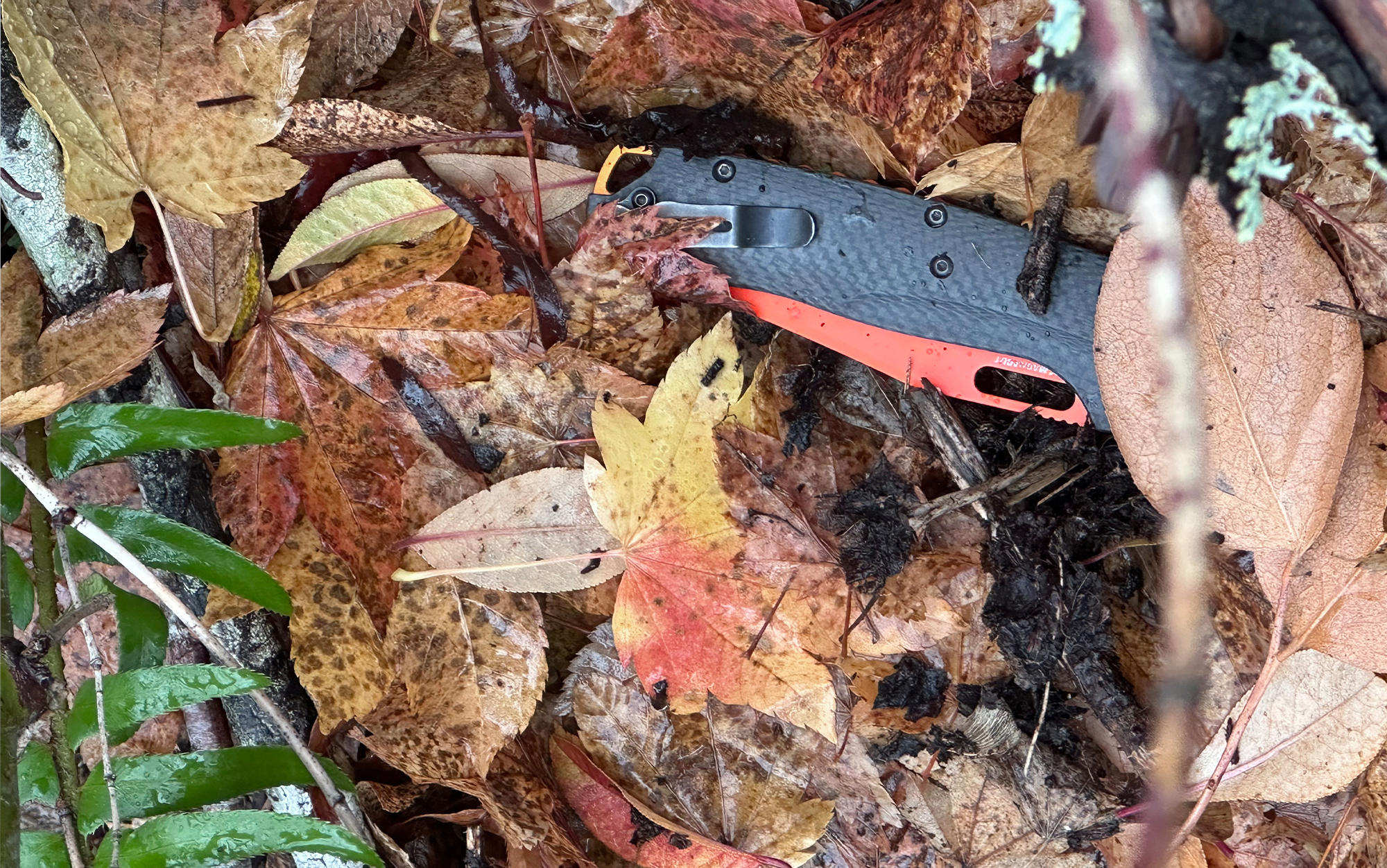The Taggedout's blaze orange blade makes it easy to locate.