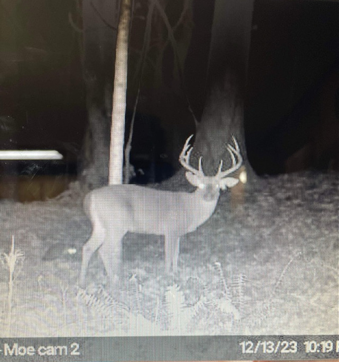 A trail cam photo of the "Holyfield" buck taken in December.