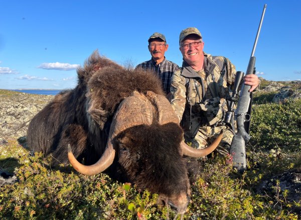 Hunter Tags Pending World-Record Muskox on First Day of Nunavut Hunt