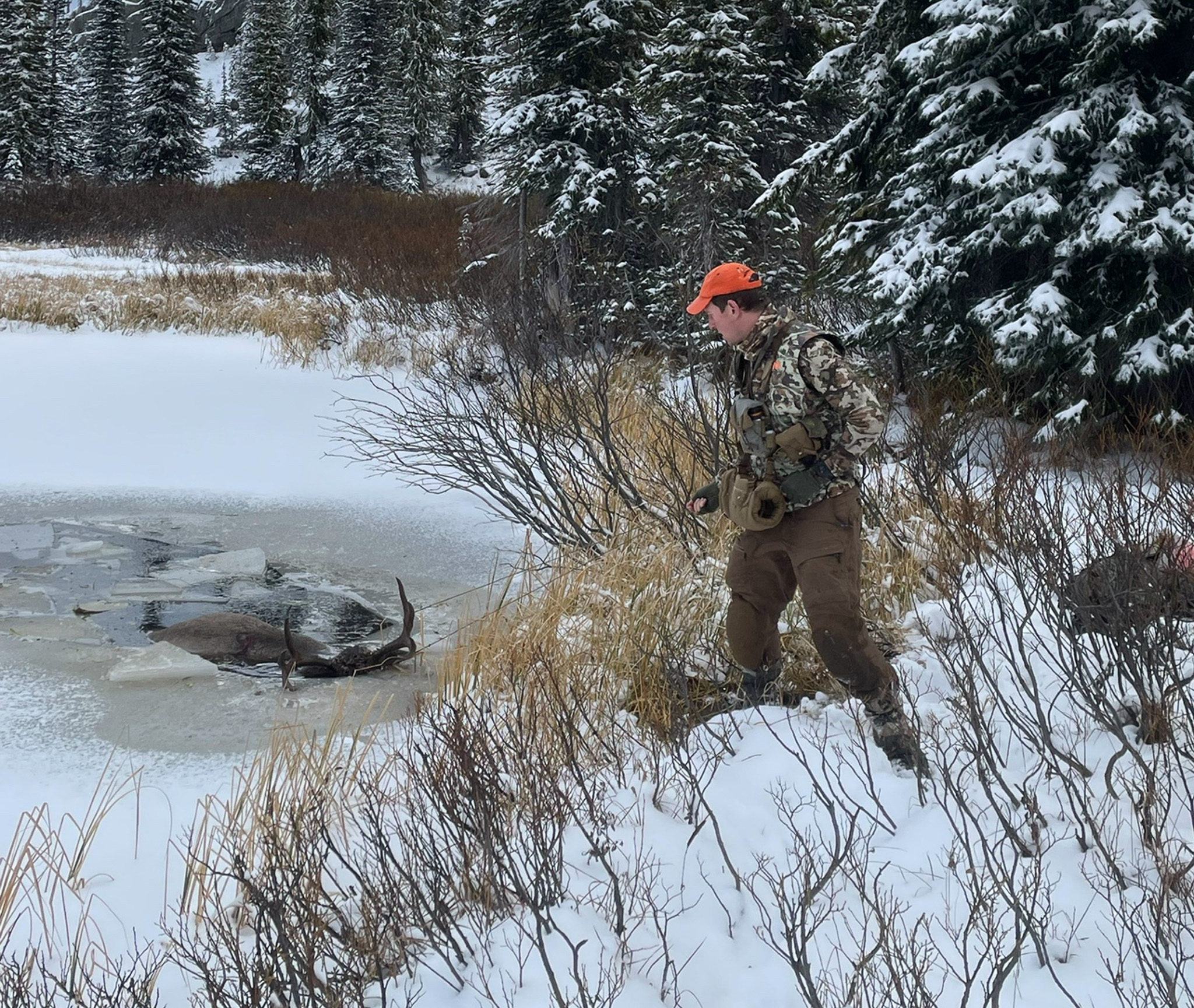 A hunter tries to haul in a deer half-submerged in an icy pond using paracord.