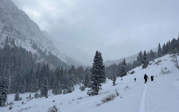 I Took an Avalanche Course to Learn How to (Probably) Not Die in the Mountains