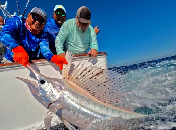A group of anglers with an all-white (leucistic) sailfish.