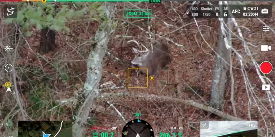 A drone-mounted camera shows a wounded buck in the woods.