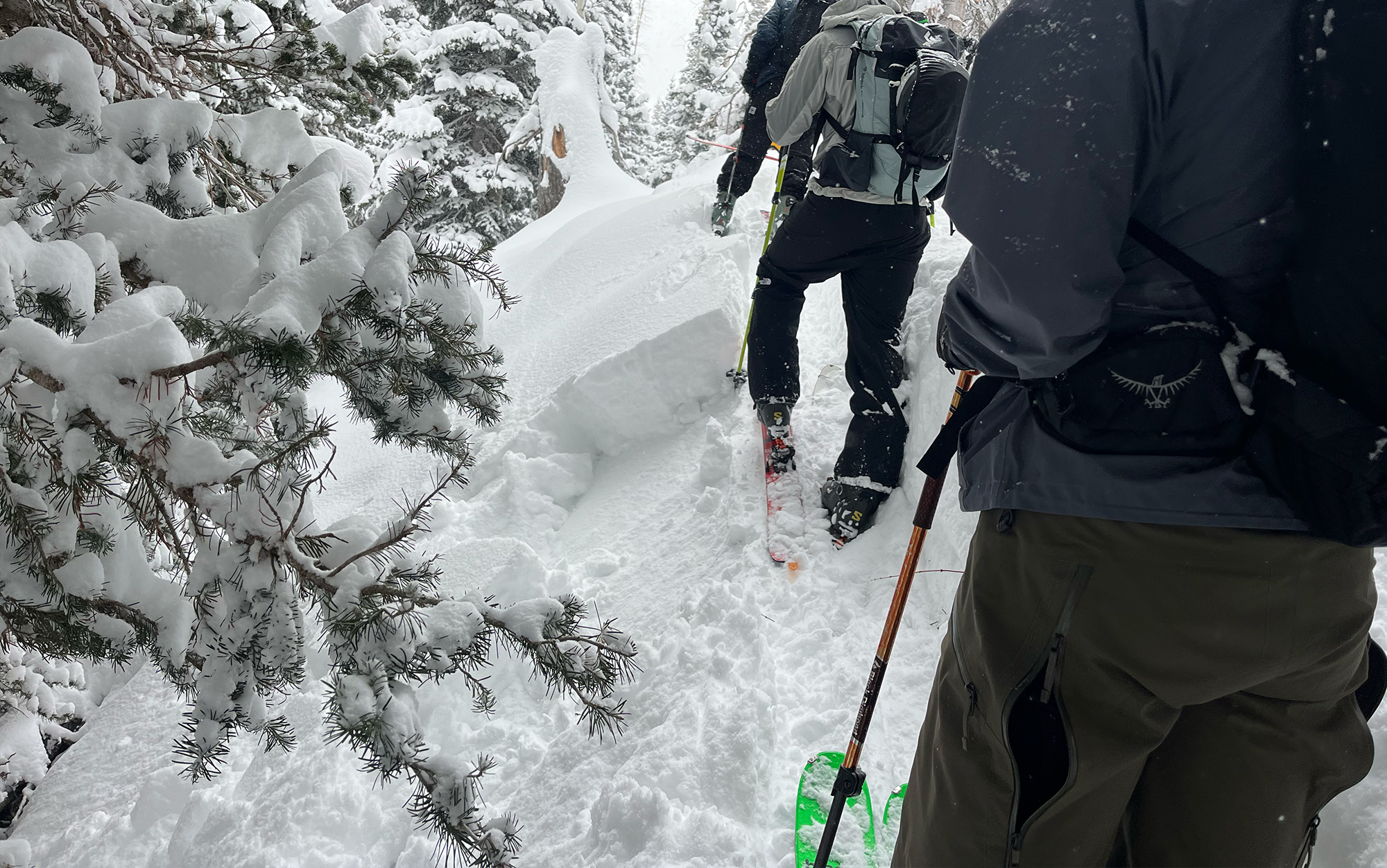 A small slab avalanche breaks under our feet during a high danger field session. We are purposefully staying on low angle terrain for exactly this reason.