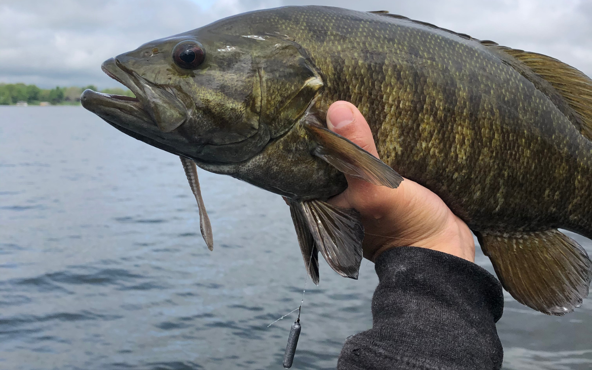 A step-by-step guide for catching big winter lake trout • Page 3