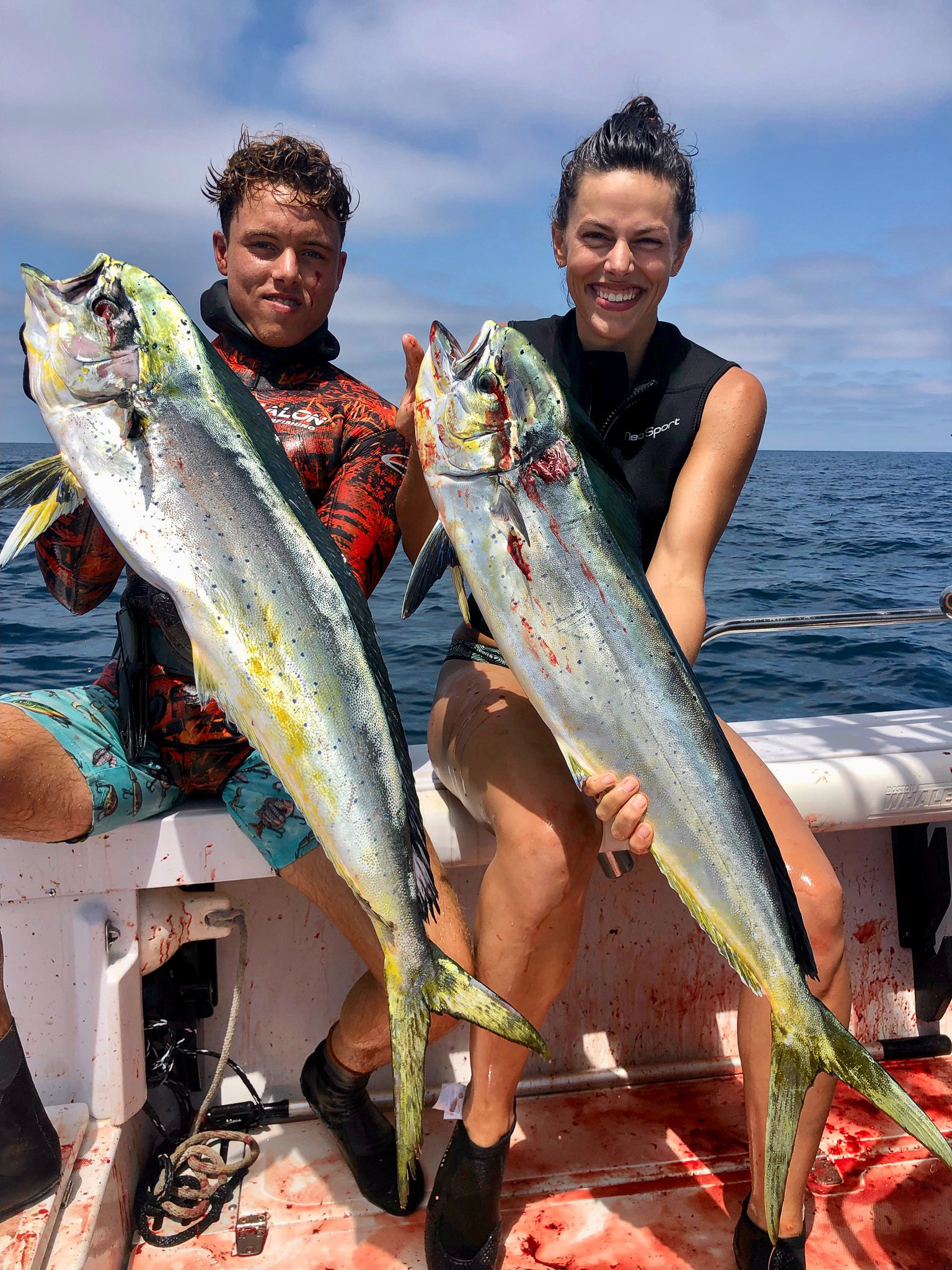Two spearfisherman hold dorado they speared in SoCal.