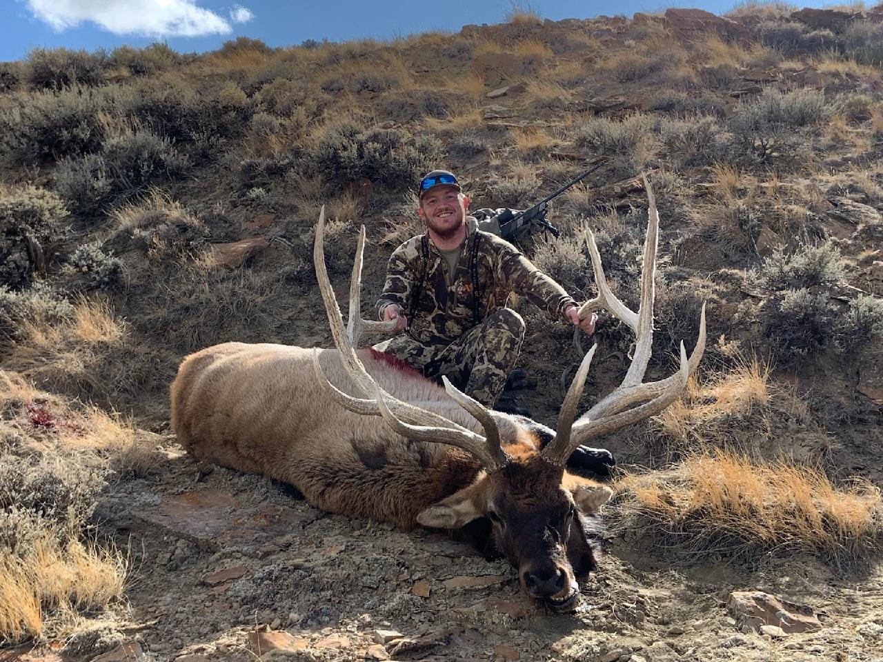 A hunter sits behind a nice bull elk.